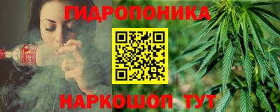 бошки Дубна